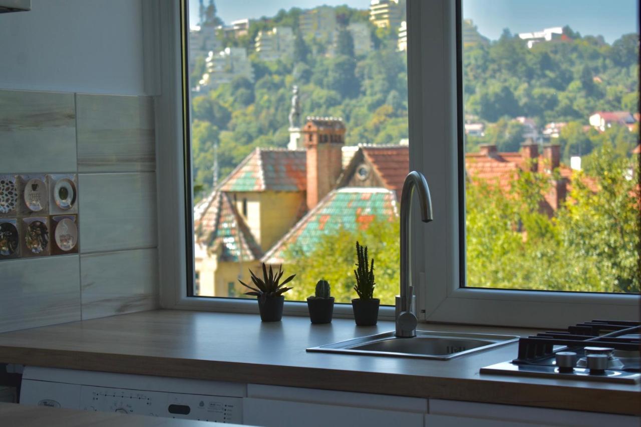 Apartment Cityview Brasov